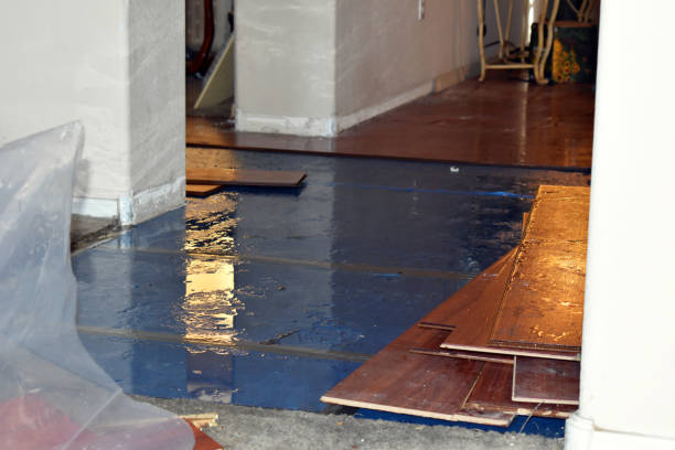 Professional Basement Water Removal technician working in Jackson, MI