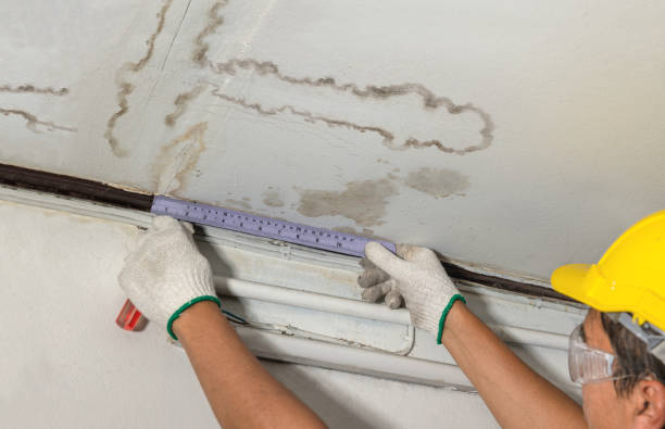 Reliable Basement Water Removal contractor in Jackson, MI by Water Damage Irwin